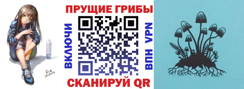 где можно купить   Туймазы  Псилоцибиновые грибы Psilocybine cubensis 